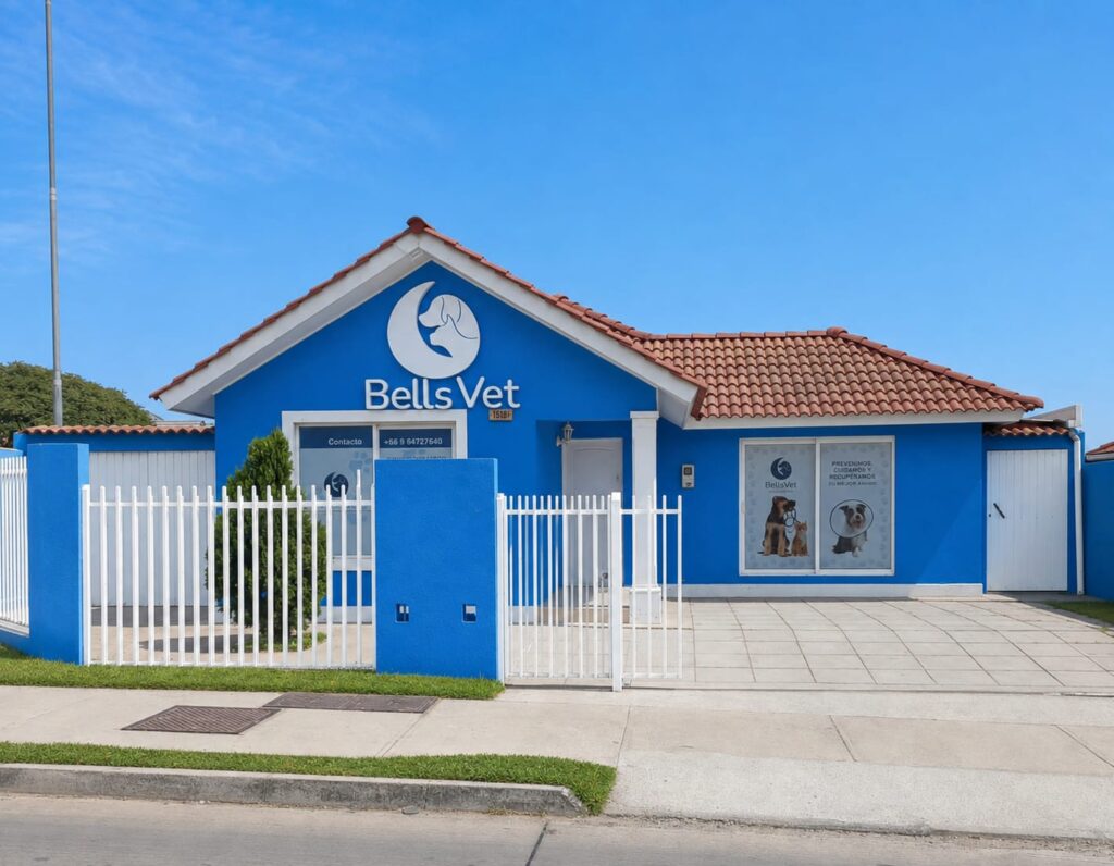 Fachada de la Clínica Veterinaria BellsVet en La Serena