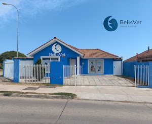 Foto de ubicación de Clínica Veterinaria BellsVet Salud Animal